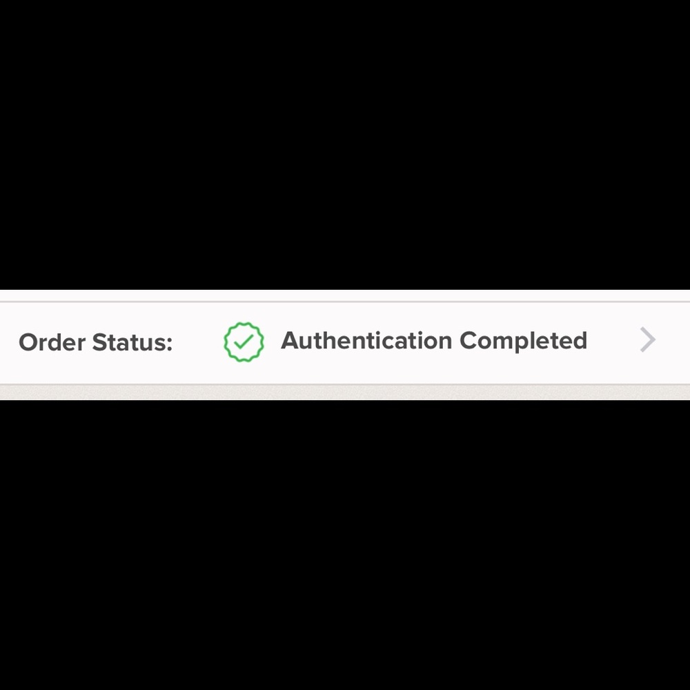 Authentication complete!!! (CL large Paloma tote)